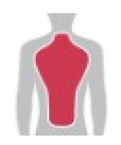 Back Armour Protectors - Image 3