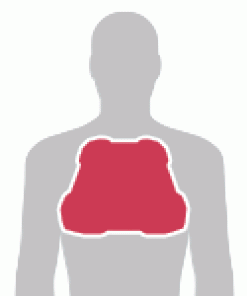 Darian Shield Body Armour - Image 4