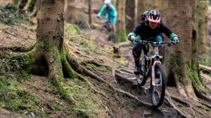 Mountain biker navigating a challenging forest trail with exposed roots and moss-covered trees