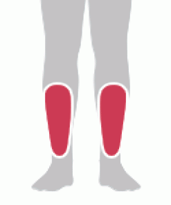 Shinebone Armour Protection - Image 2