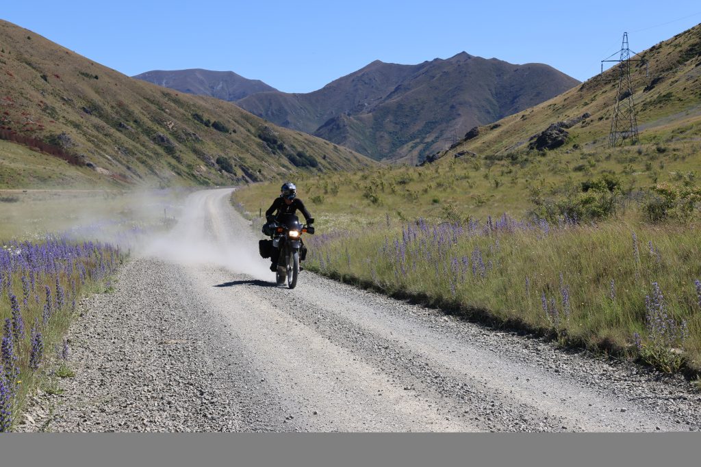 motorcyclist riding on a gravel road with lupine flowers and mountainous backdrop